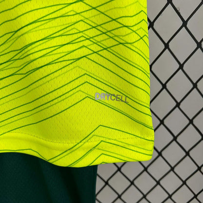 Palmeiras 2023 Third Jersey