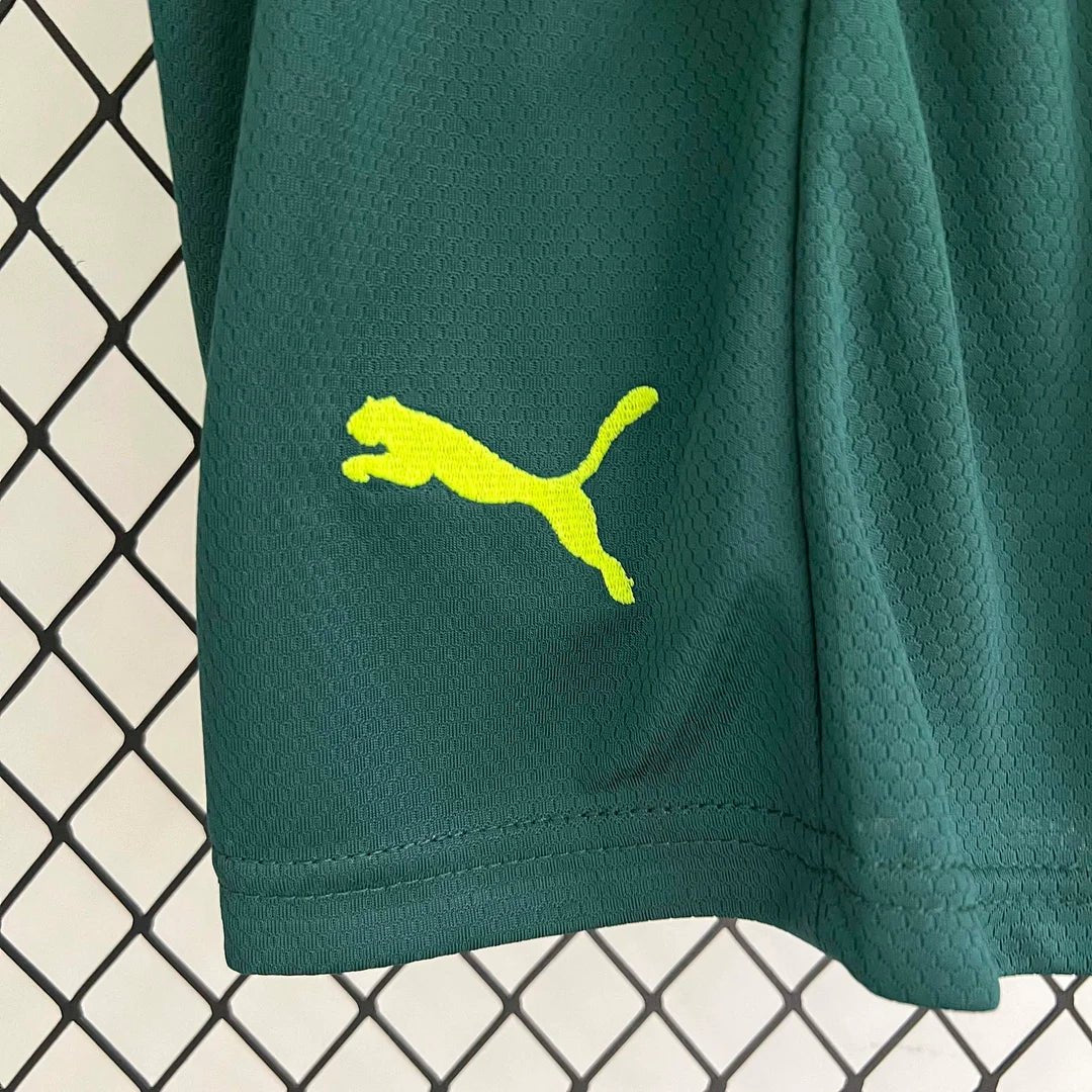 Palmeiras 2023 Third Jersey