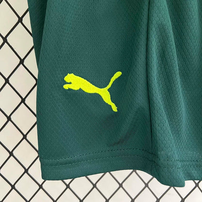 Palmeiras 2023 Third Jersey