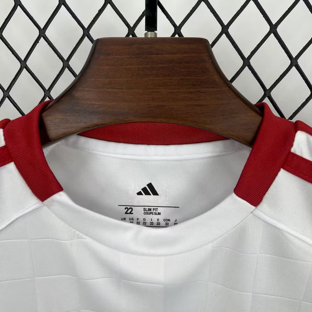 Benfica 2025 Third Away Jersey
