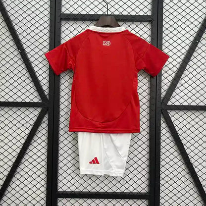 Brazil Internacional 2025 Home Jersey