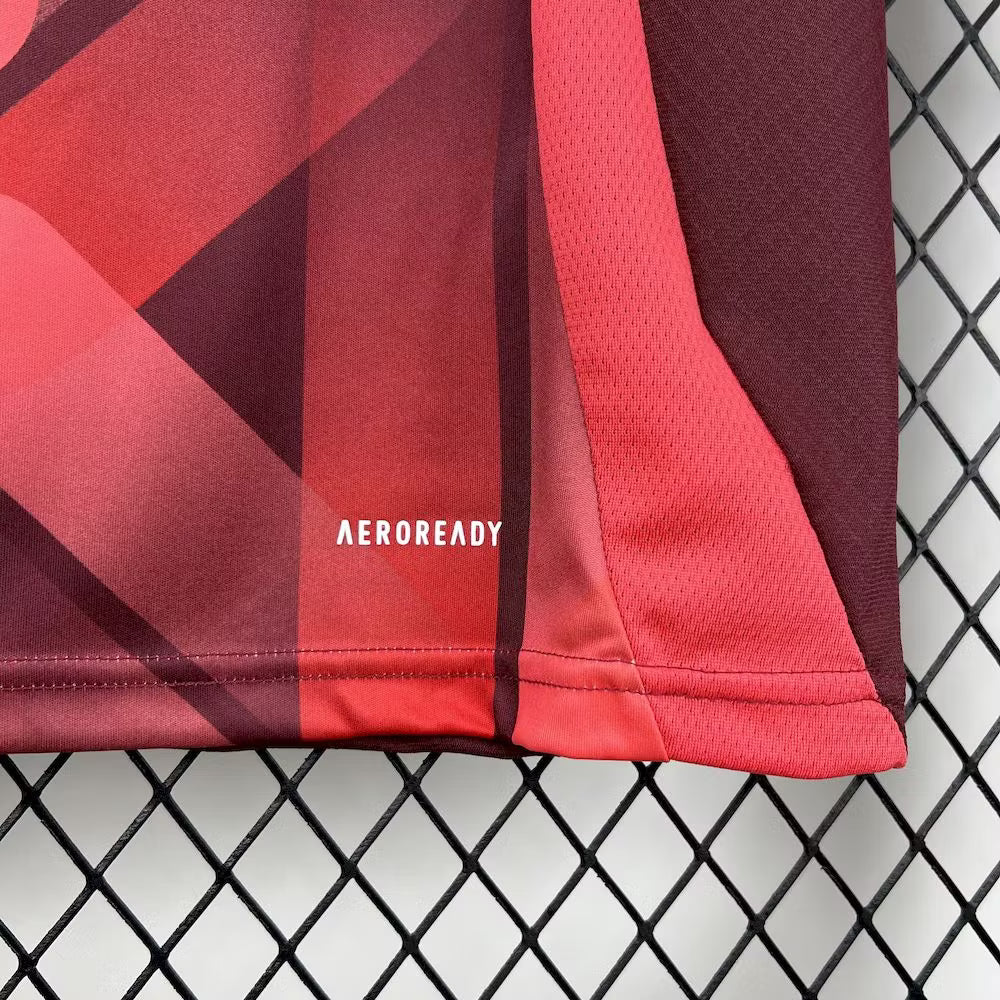 Germany 2025 Away Shirt