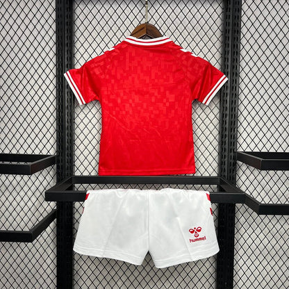 Denmark 2024 Home Jersey