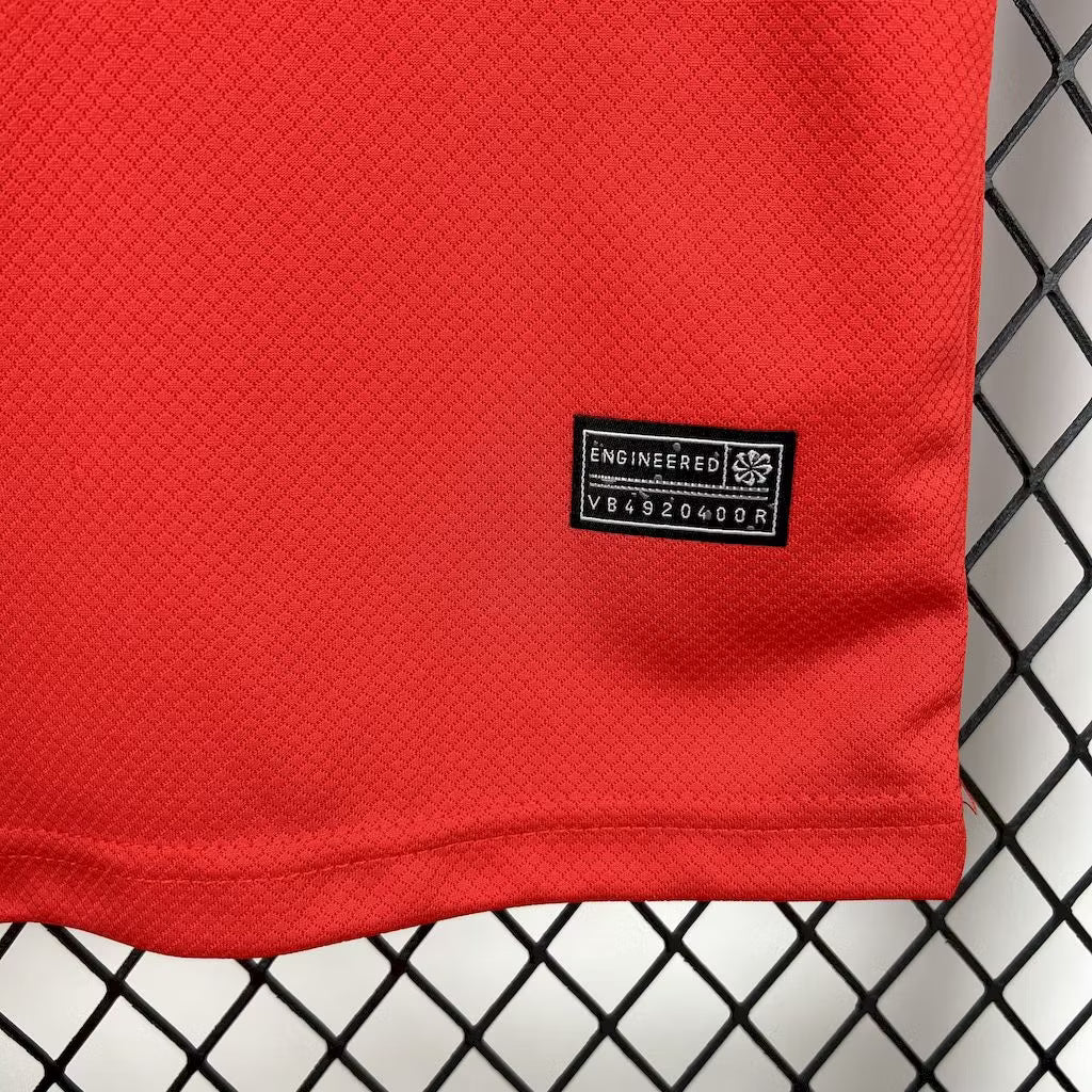 Brazil x Jordan 2025 Red Concept Shirt