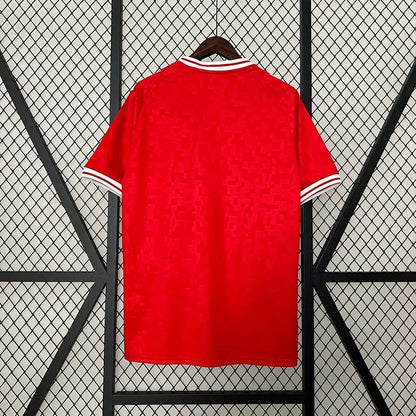 Denmark 2024 Home Shirt