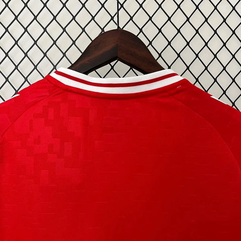 Denmark 2024 Home Shirt