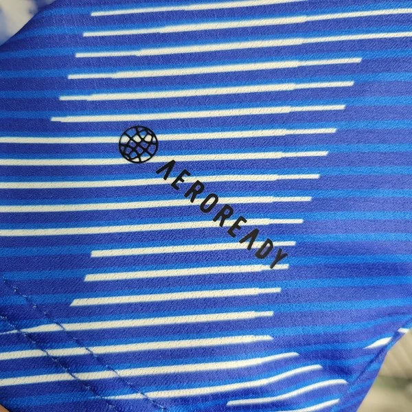 Japan 2023 Star Special Shirt