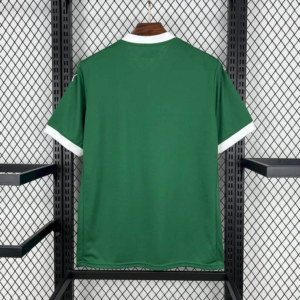 Palmeiras 2025 Home Shirt