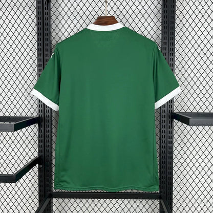 Palmeiras 2025 Home Shirt