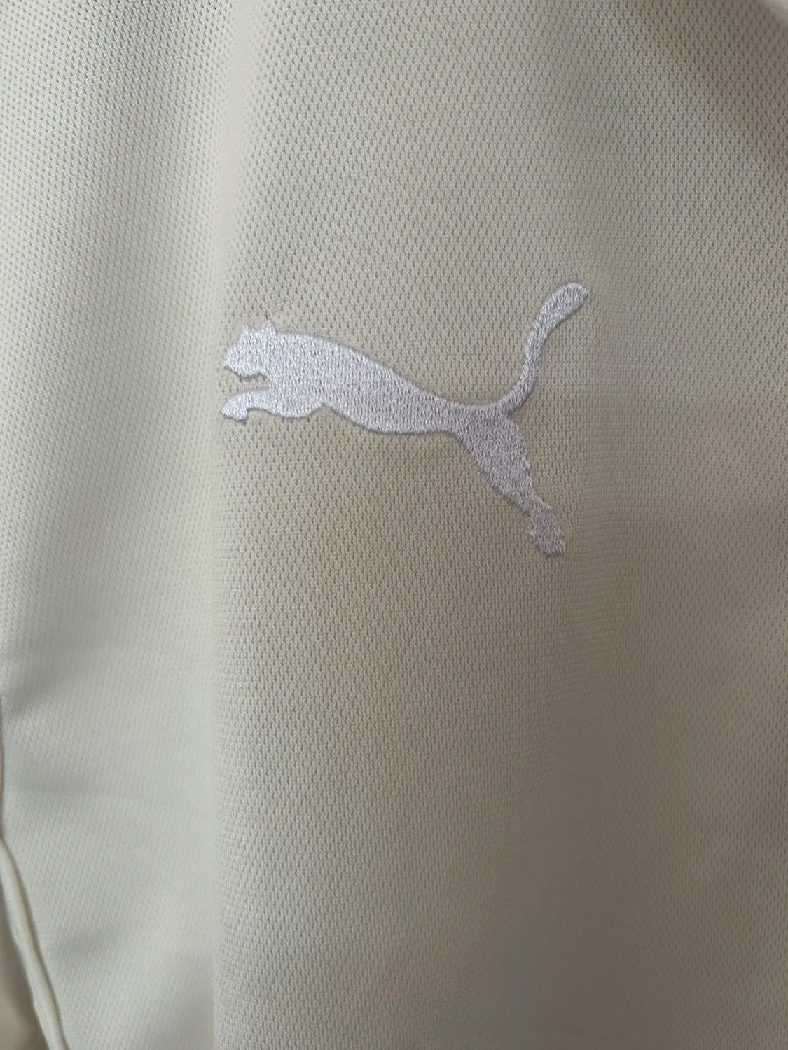 Palmeiras 2025 Polo Shirt