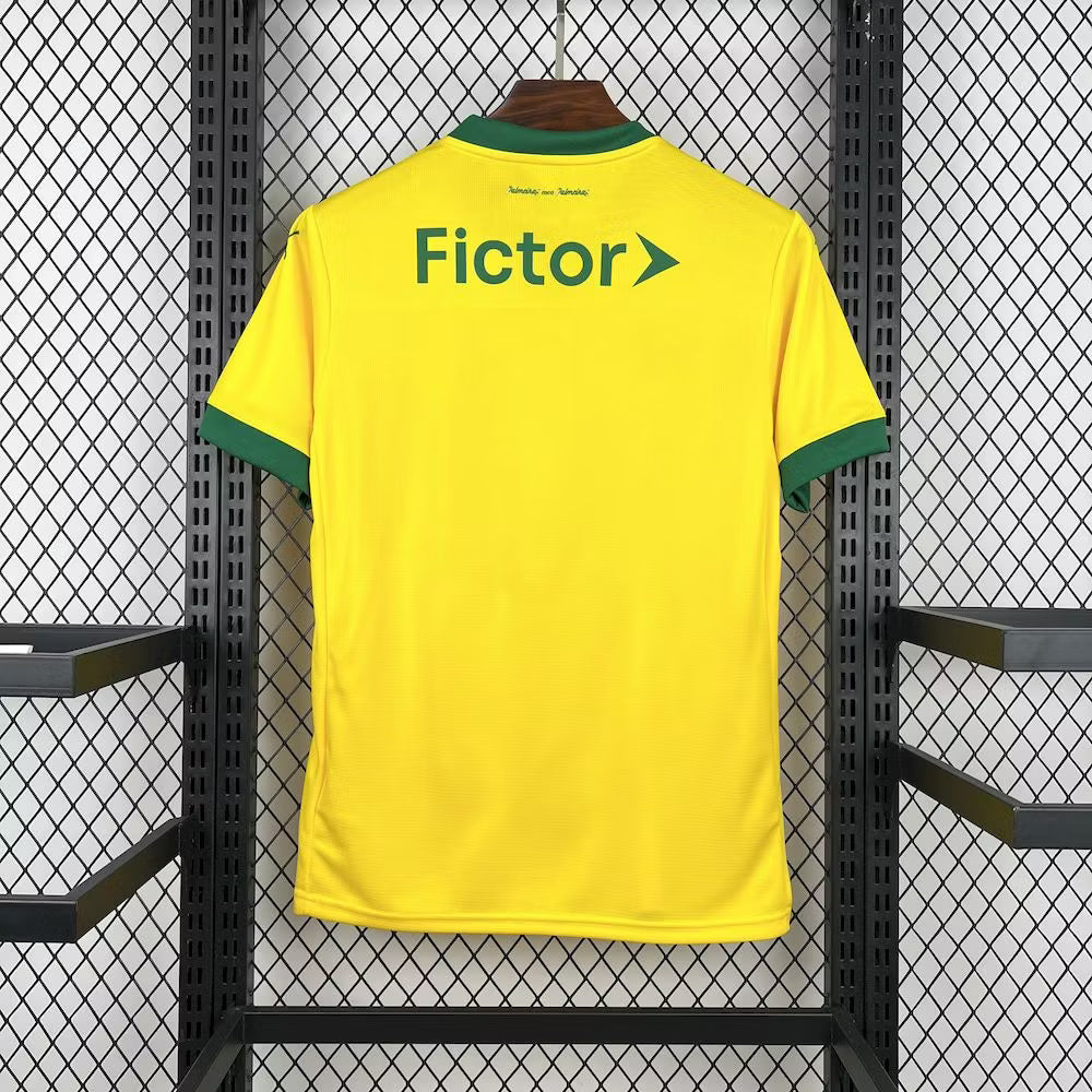 Palmeiras 2025 Third Away Shirt