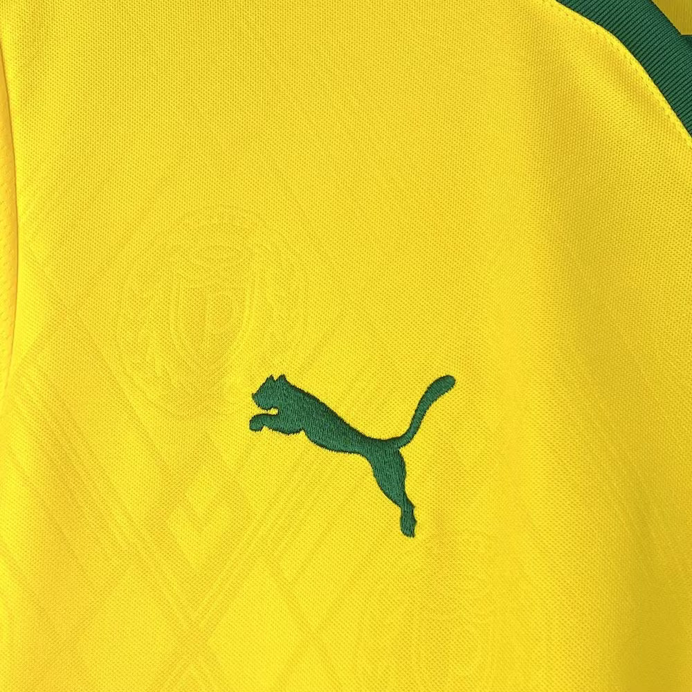 Palmeiras 2025 Third Away Shirt