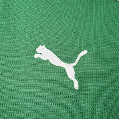 Palmeiras 2026 Home Shirt