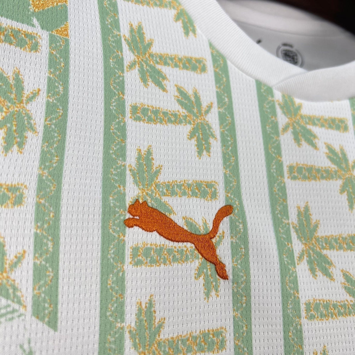 Côte d'Ivoire 2026 Away Jersey