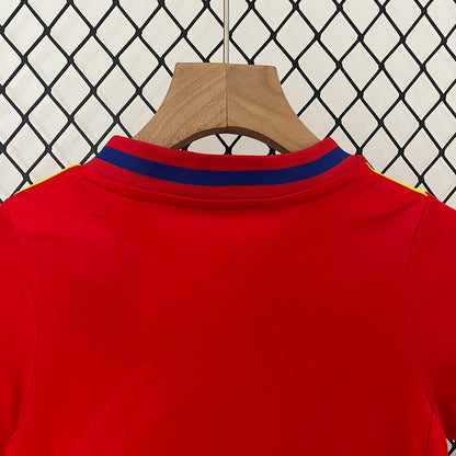 Spain 2010 Home jersey