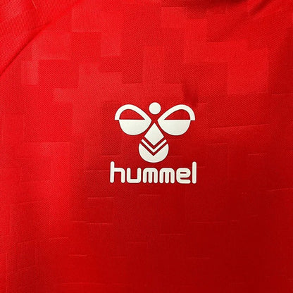 Denmark 2024 Home Shirt