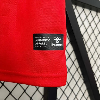 Denmark 2024 Home Shirt