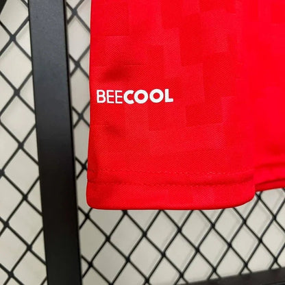 Denmark 2024 Home Shirt