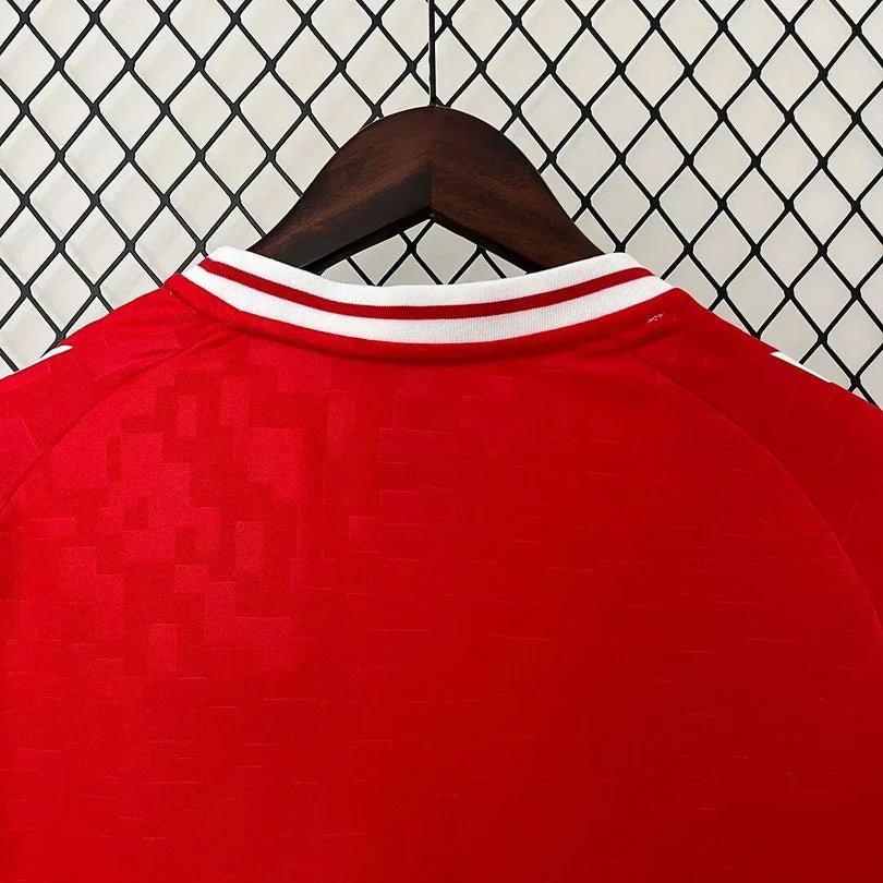 Denmark 2024 Home Shirt