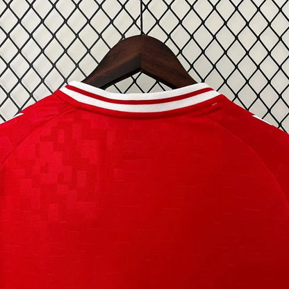 Denmark 2024 Home Shirt