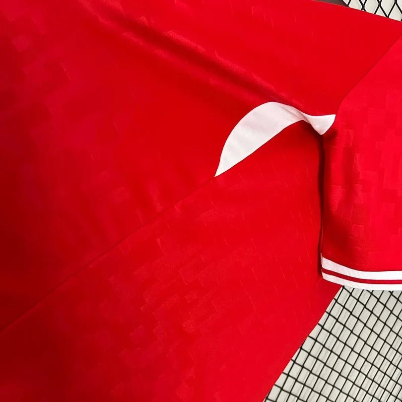 Denmark 2024 Home Shirt