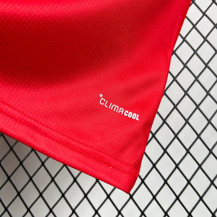 Wales 2026 World Cup Home Shirt